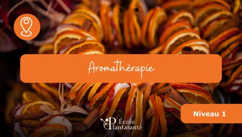 Stage d&rsquo;Aromathérapie (Niveau 1)