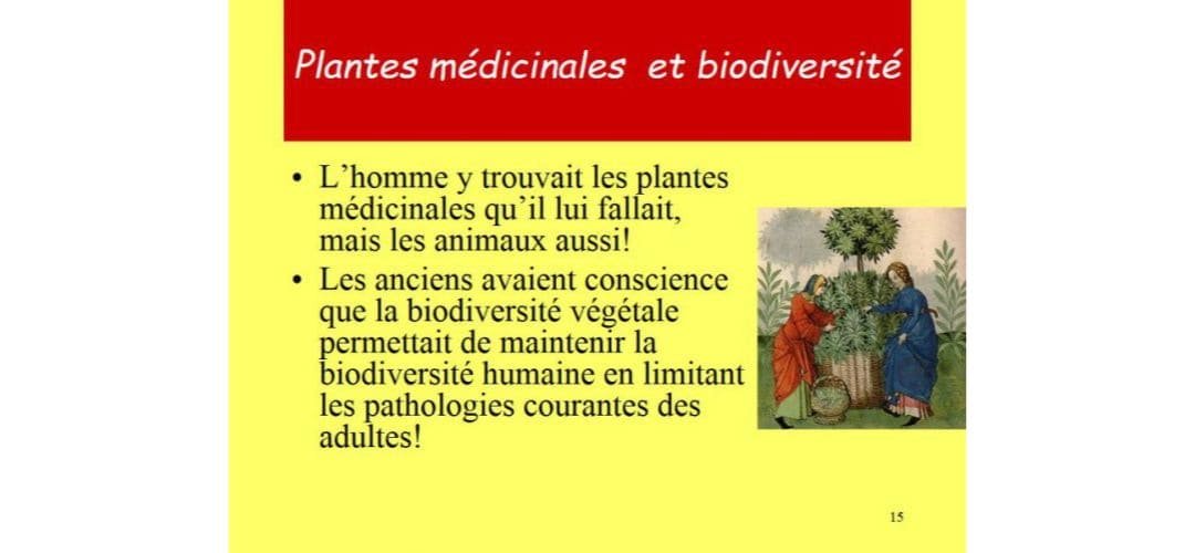You are currently viewing Petits dialogues sur la biodiversité (Editorial d&rsquo;avril-mai 2010)