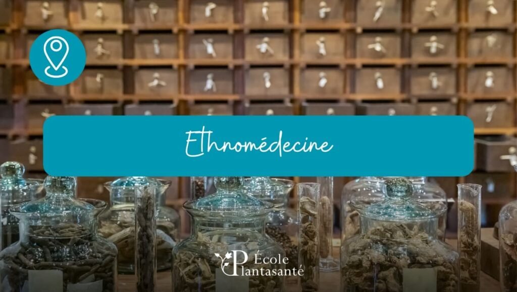visuel formation ethnomédecine