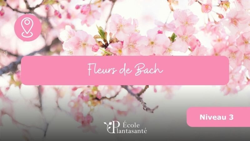 Formation Fleurs de Bach (Niveau 3)