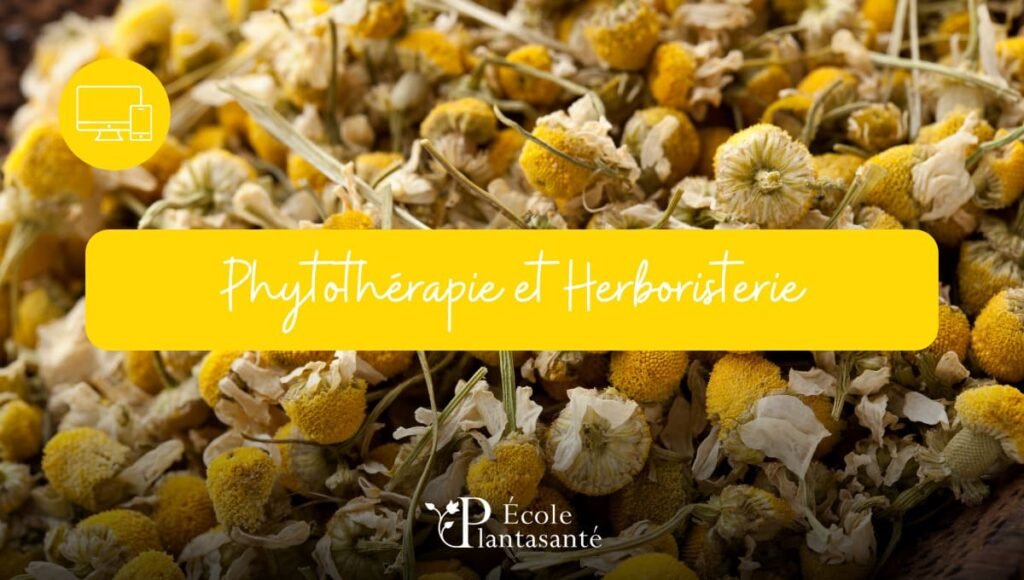 visuel de la formation en phytohérapie à distance