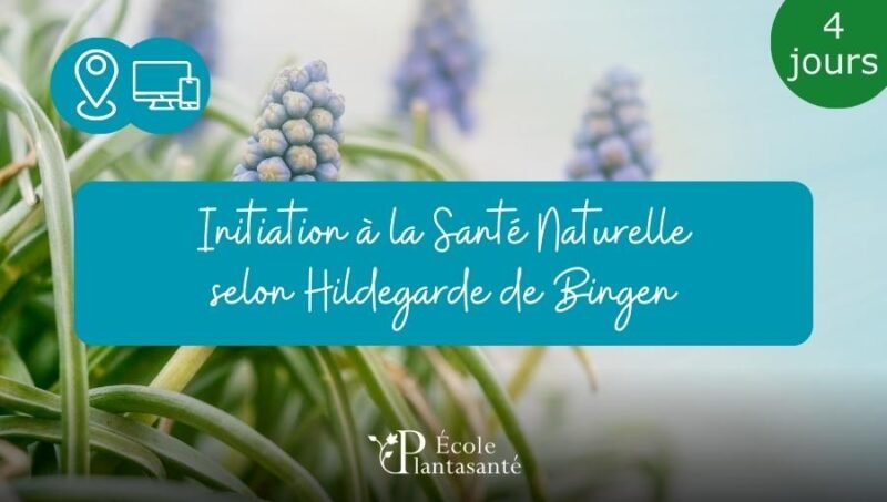 Stage Hildegarde de Bingen initiation (4 jours)