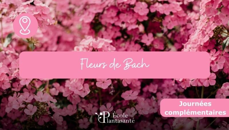 Fleurs de Bach Journées Complémentaires