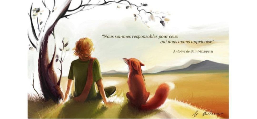 You are currently viewing Le petit Prince – Le court métrage de 4 minutes